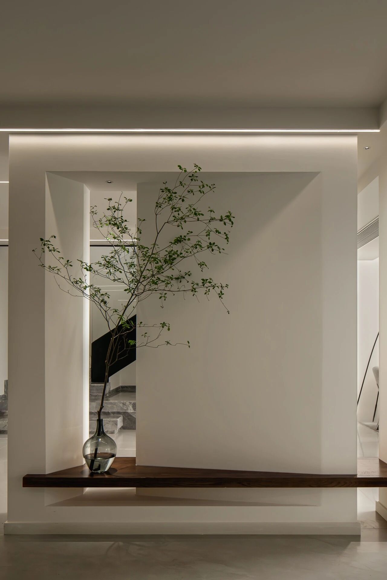 首发 X 熊翔飞 X 静奢白境  家的自然叙事：向光处，有风来_20260110-13