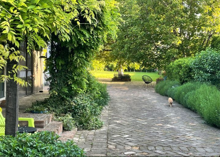 旧沃伊沃迪纳房屋改造项目-90