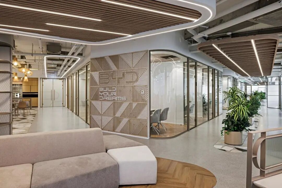 BYD比亚迪以色列办公室丨A.R. Grinberg Architects-15