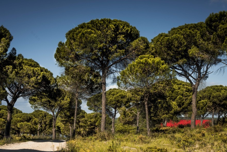 葡萄牙 3000 House,简约设计中的能源可持续理念-26