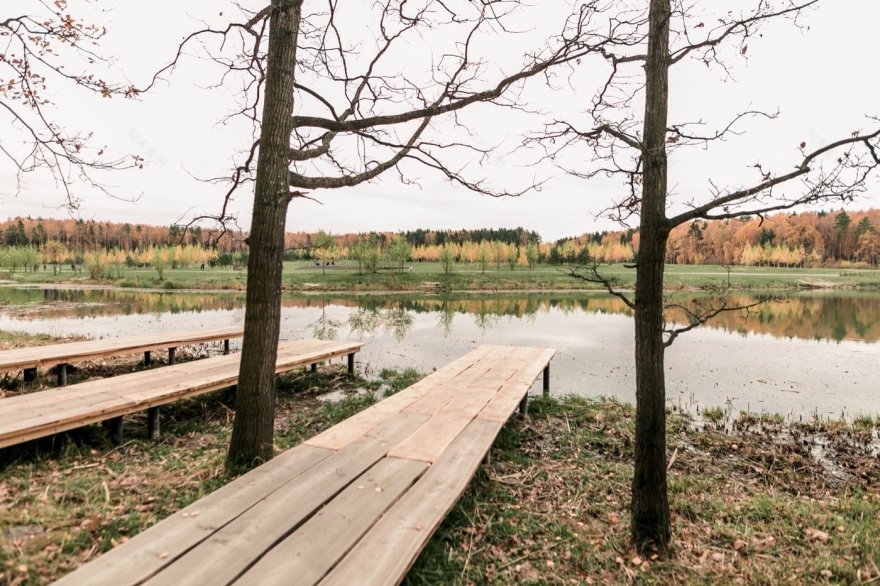 俄罗斯梅舍斯基森林景观丨不详-8