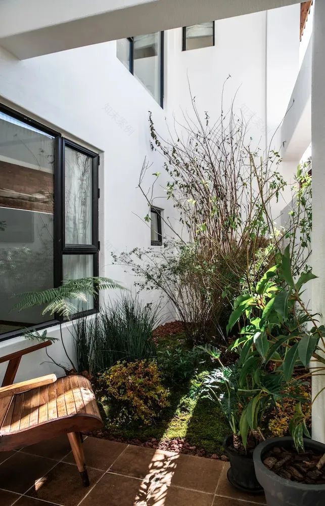 五姐妹同住“乘风破浪的家”,《梦想改造家》实现最美抱团养老-163