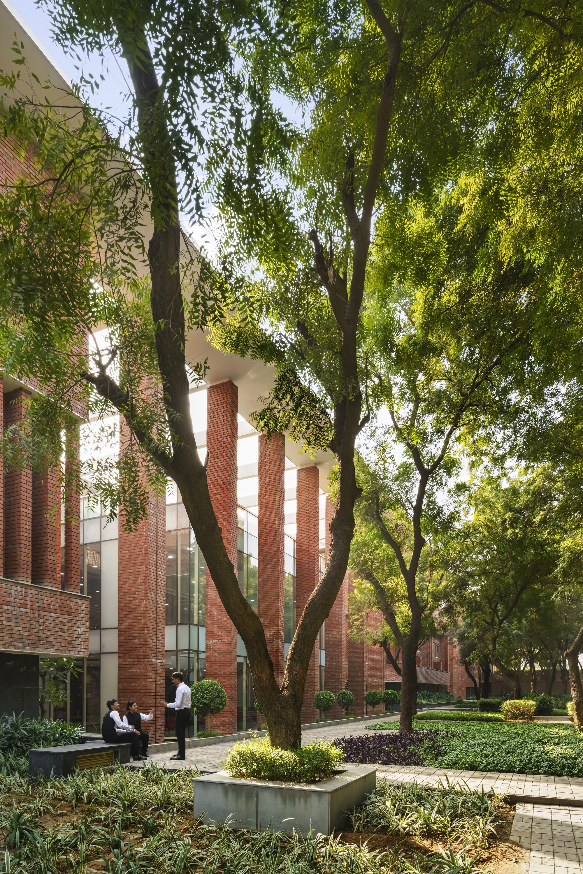 拉利特苏里酒店管理学院丨印度丨Morphogenesis-36