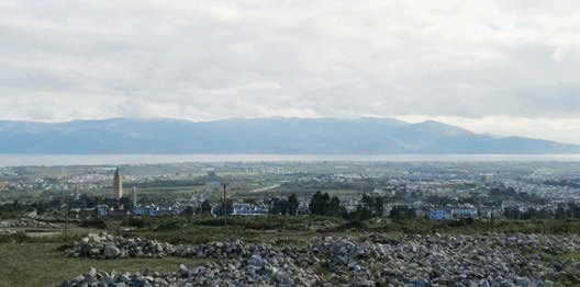 入世而出尘丨云南白药·大理健康养生创意园-23