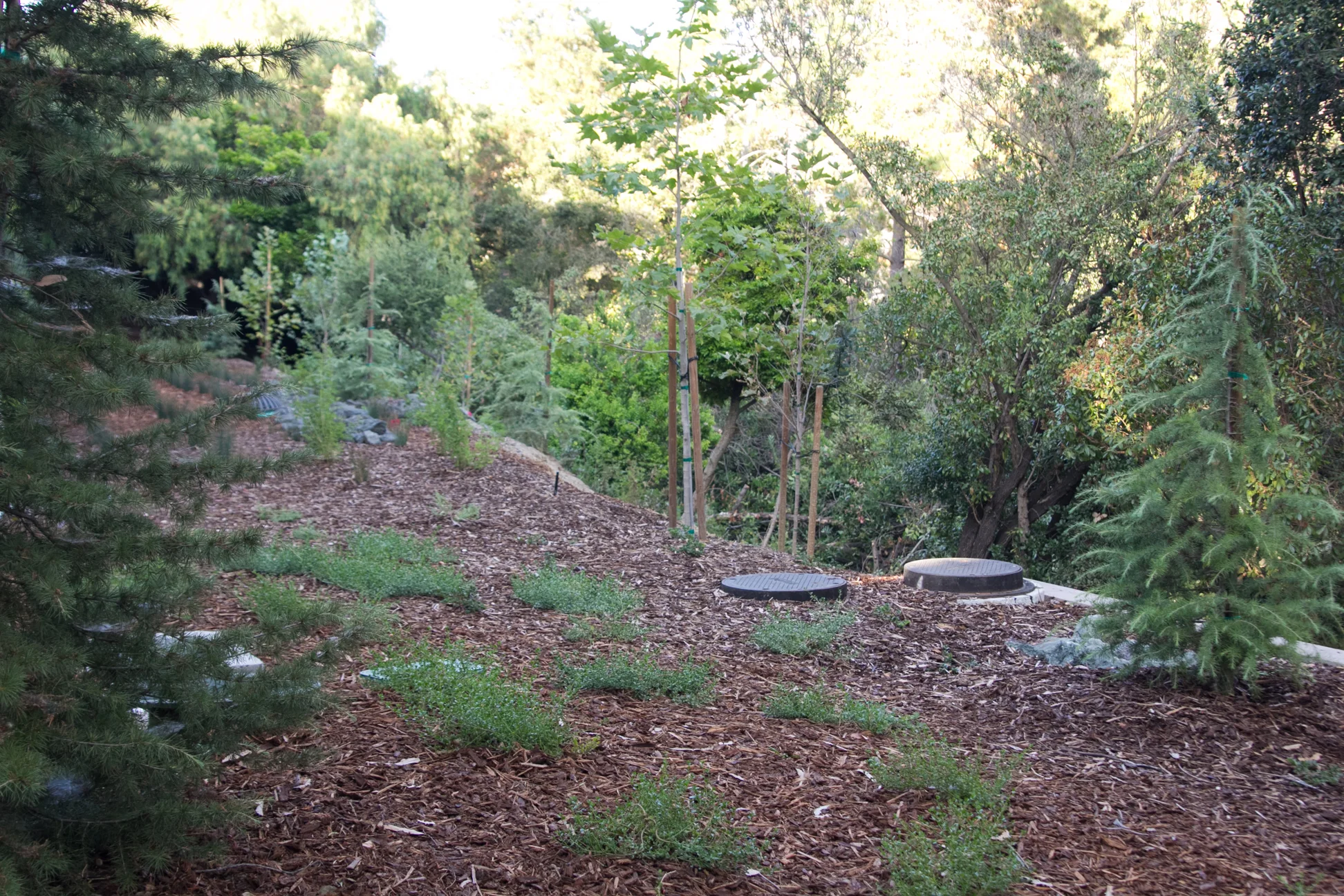 La Quinta Hotel景观规划项目丨阿根廷圣路易斯丨Firma Consultants-9