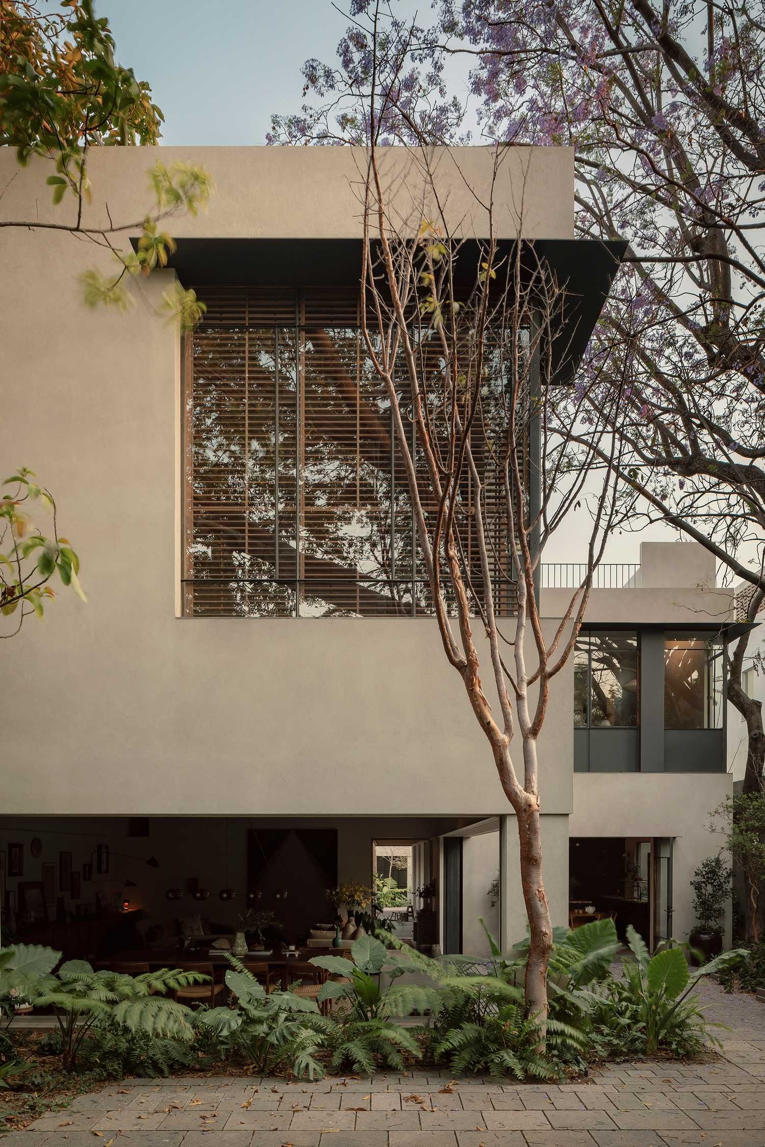 墨西哥CASA MOLUSCO PANTERA住宅-2