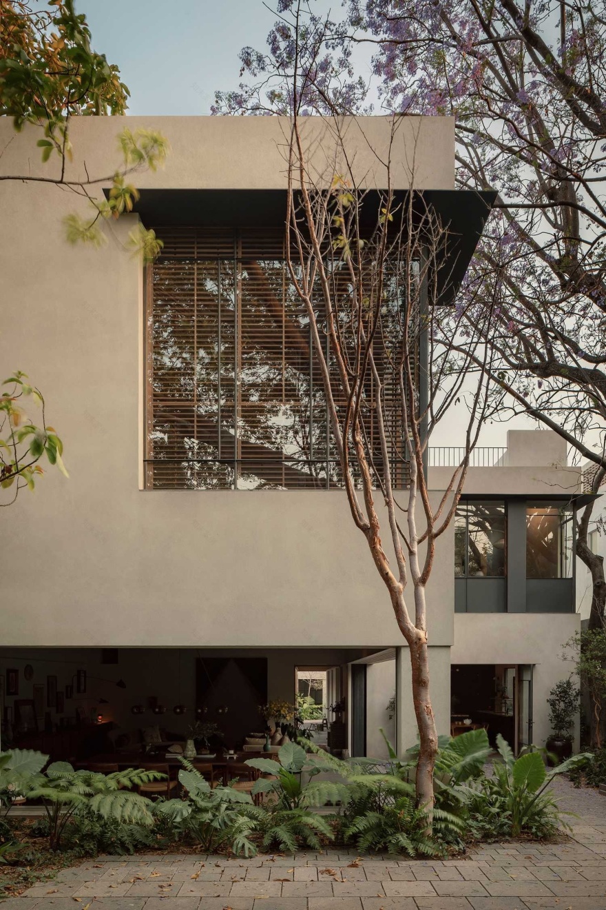 墨西哥CASA MOLUSCO PANTERA住宅-2