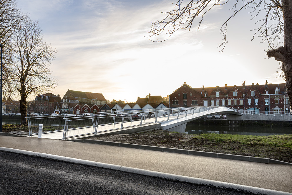 A line in the landscape | DVVD-19