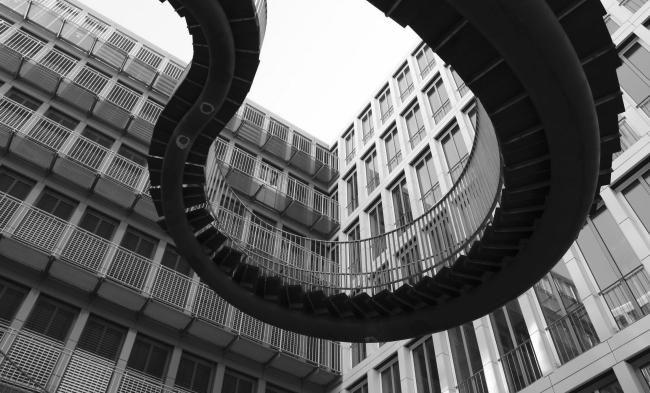 “老虎与乌龟”丨德国丨德国艺术家乌尔里希·根茨和海克·穆特-26