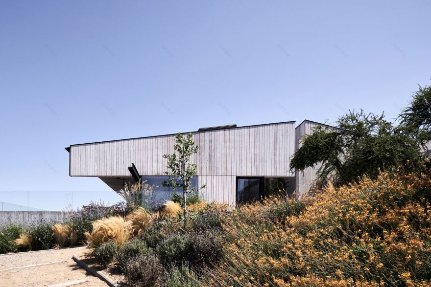 金士顿旅馆和葡萄园活动厅丨智利丨Juan Carlos Sabbagh Arquitectos-0