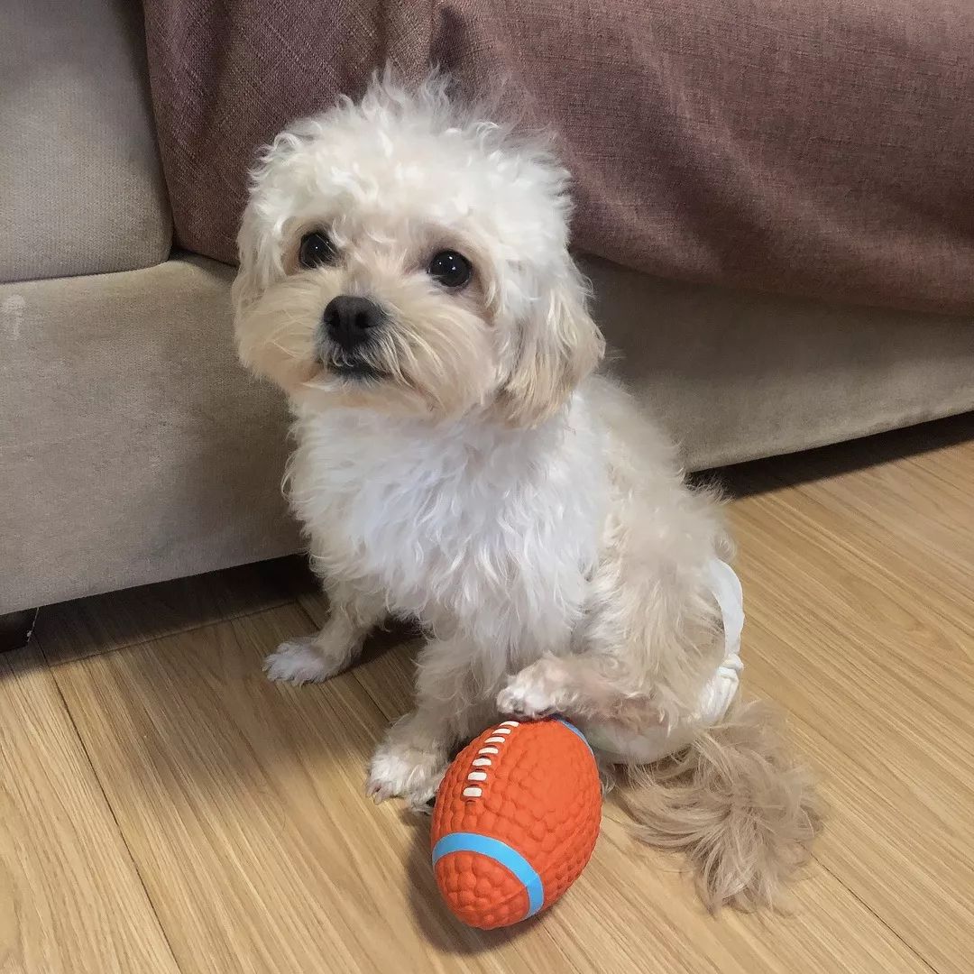 疫情下的设计团队 | 工作方式转变与感悟-30