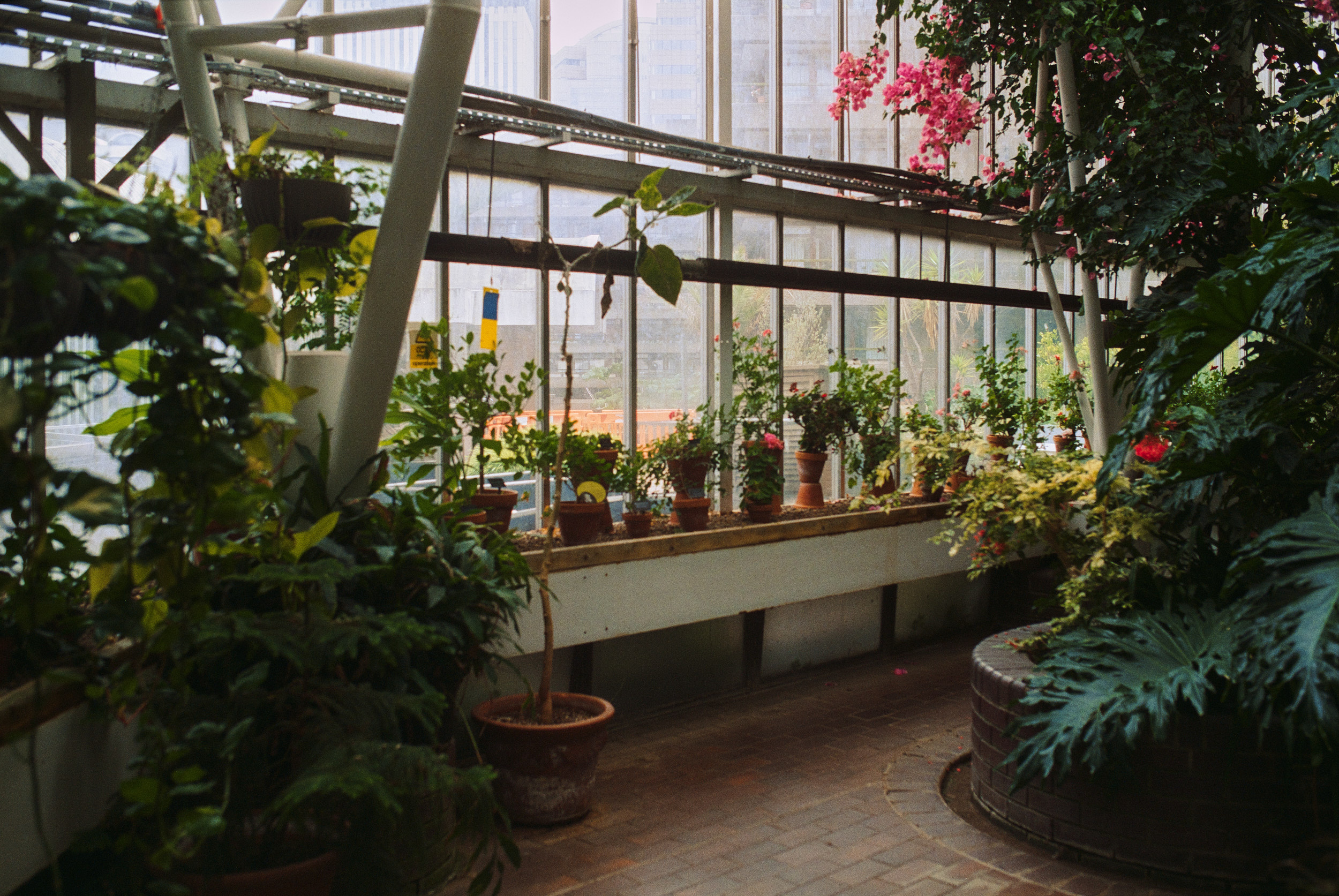 巴比肯温室丨英国伦敦-27