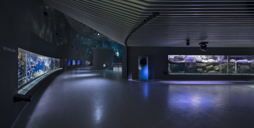 蓝色星球(The Blue Planet)-42