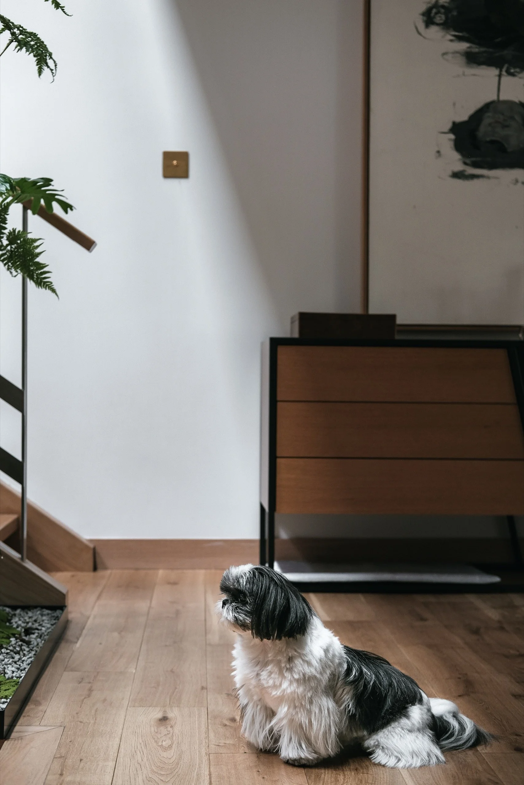 马拉内尔股份公司（注：SH常见于瑞士等国家表示股份公司Societas Helvetica ，这里根据常见含义假设Maranel为公司名称进行翻译，若Maranel有特定所指译法可能不同） 丨中国上海-20