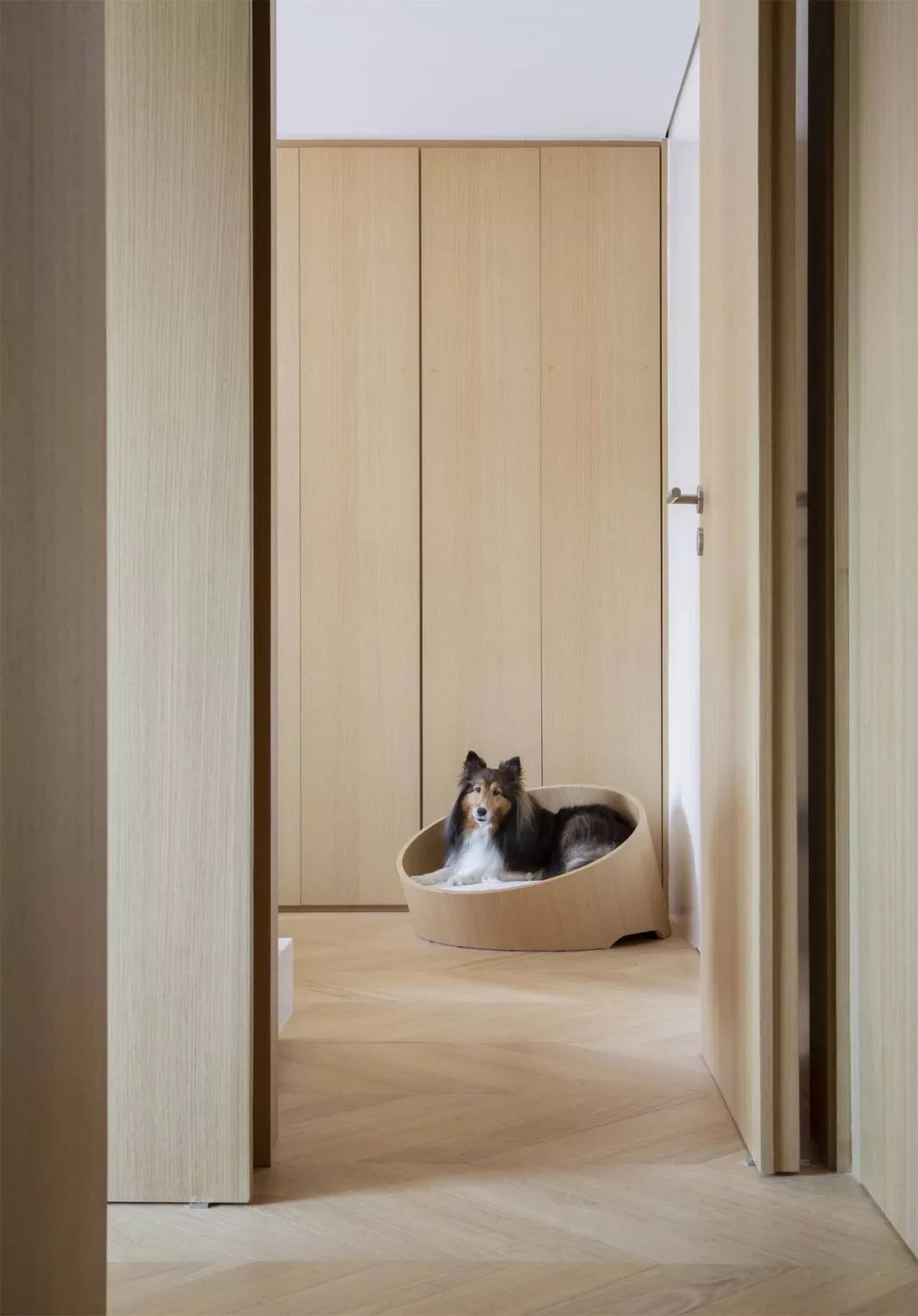 NildoJosé 设计之外 空间之内-31