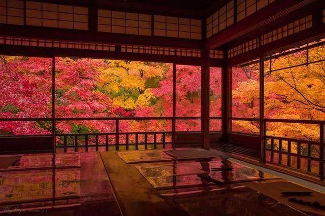 日本最美20个庭院，你更中意哪一个？-198