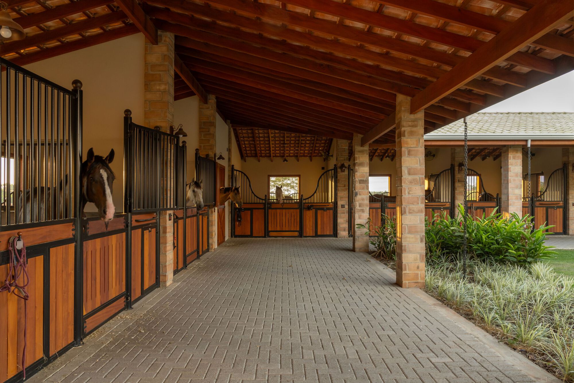 VM 马术马厩丨巴西丨Per Cavalli Arquitetura-15
