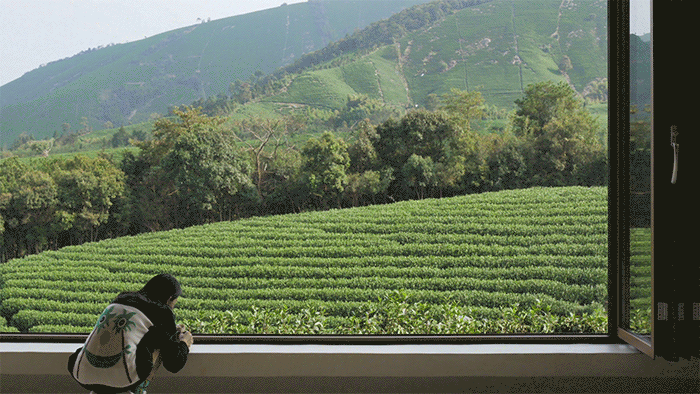 安吉观景平台及茶室丨中国浙江丨HATCH 汉齐建筑-53