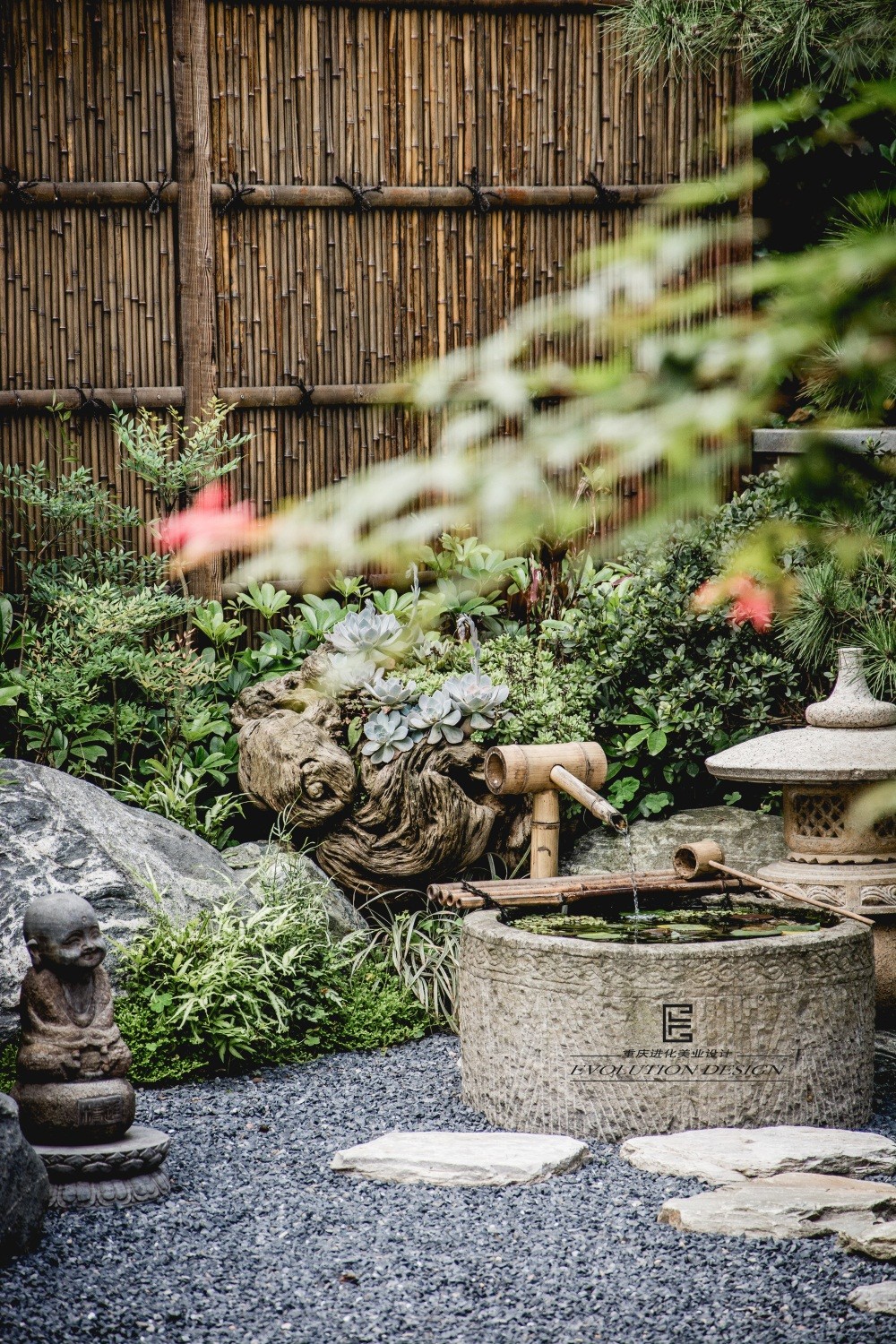 进 化 | 明 月-11