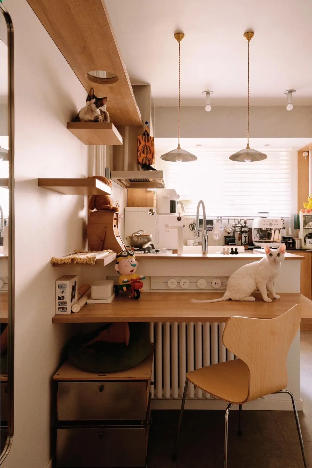 44㎡的治愈宇宙：一人四猫的共生乐园，小户型里的极致温柔-67