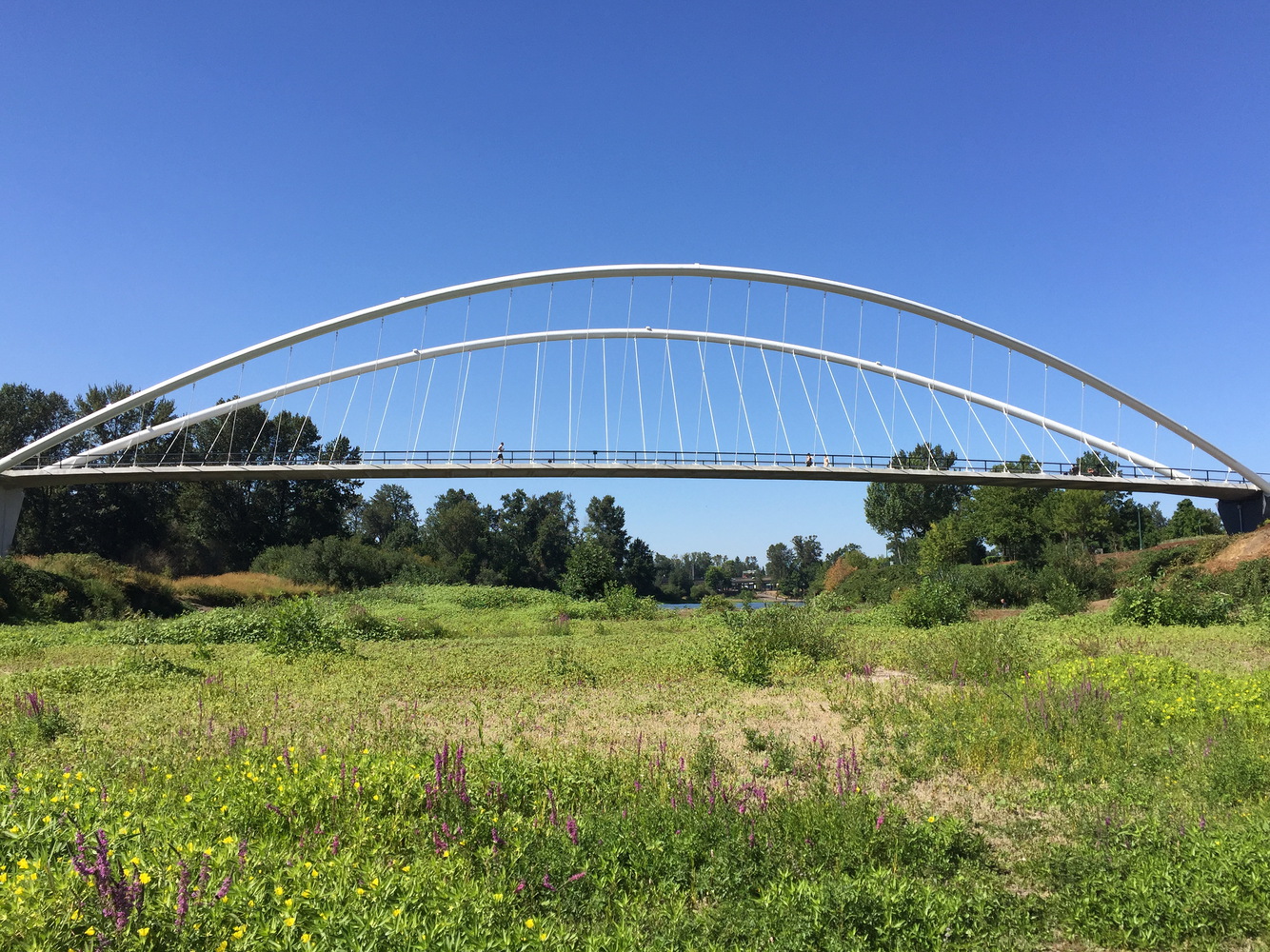 美国彼得·考特尼·明托岛自行车和人行天桥-11