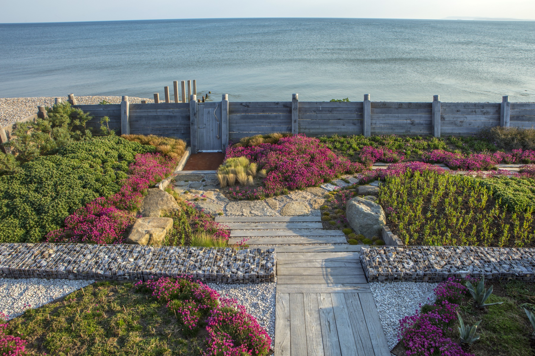 滨海沙滩上,海风塑造的花园-3