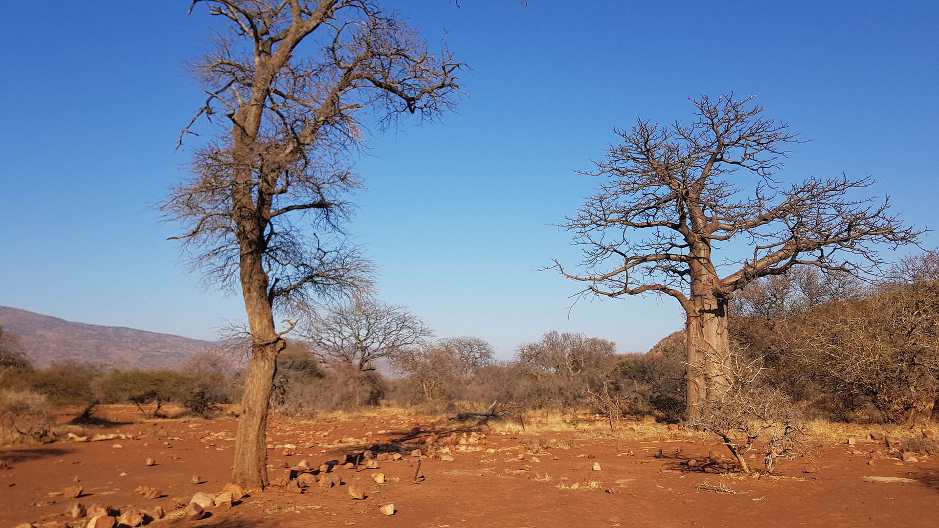 游猎小屋丨南非-10