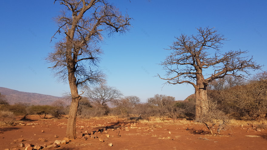 游猎小屋丨南非-10