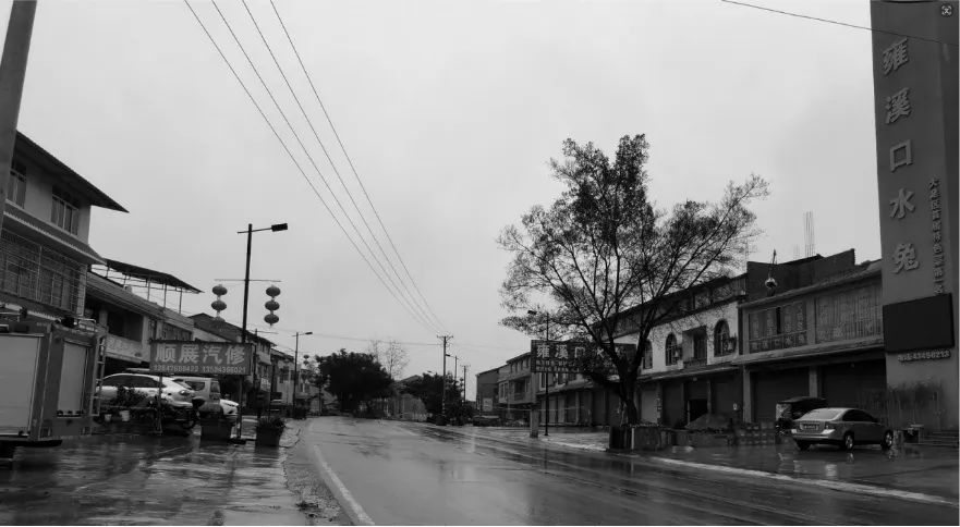 美丽宜居示范乡镇“花乡雍溪”提升规划设计丨中国重庆丨重庆道合园林景观规划设计有限公司-60