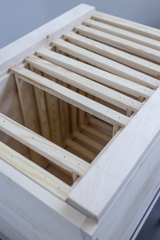 Sanatorium dla pszczół（蜜蜂疗养院）丨Paulina Kwiatkowska（波兹南艺术大学毕业生）-12