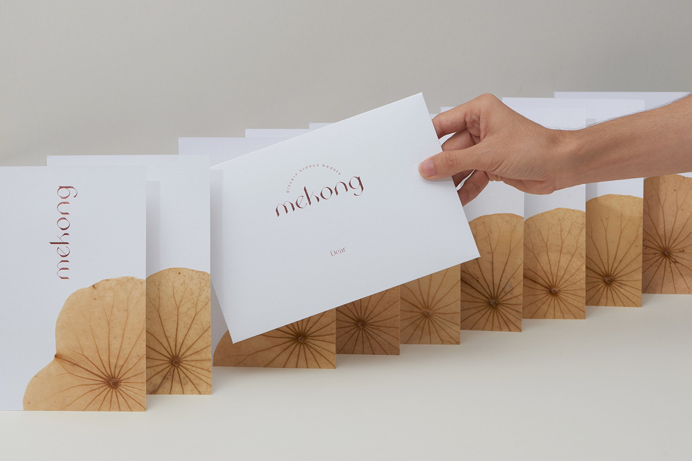 越南湄公河茶艺体验馆·品味莲香,感受湄公风情-20