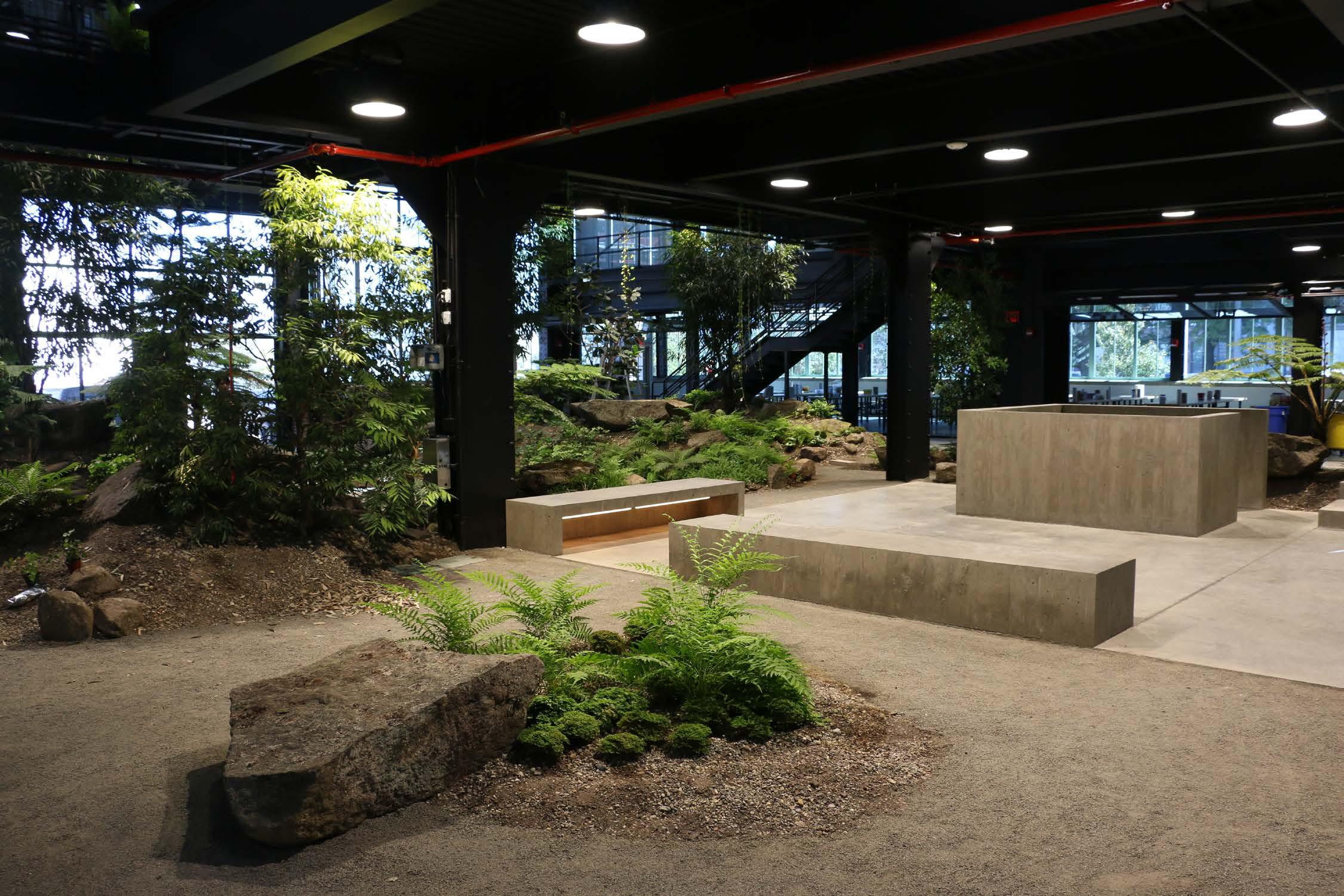 “最硬核”的办公空间改造，废弃海军造船厂中长出了一座封闭森林！-80