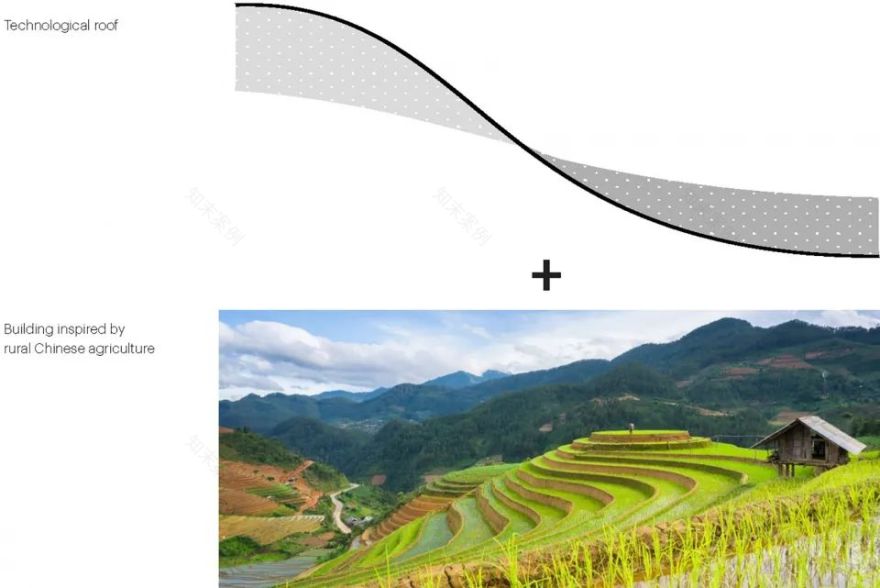 上海兰桂骐农业科技公司总部丨中国上海丨MVRDV-9