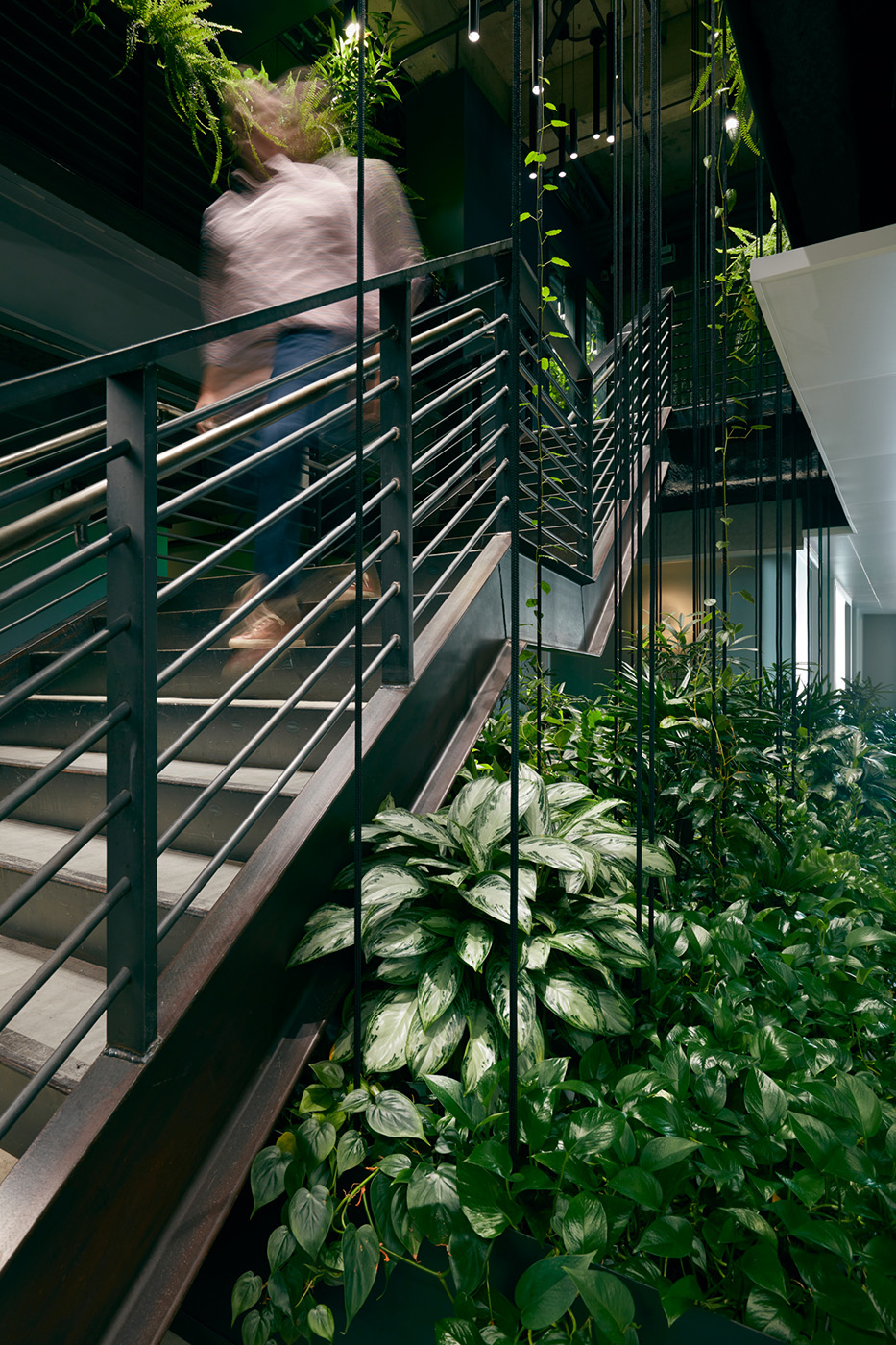 Slack（公司名，无需翻译）旧金山丨美国丨ASD | SKY Architects-1