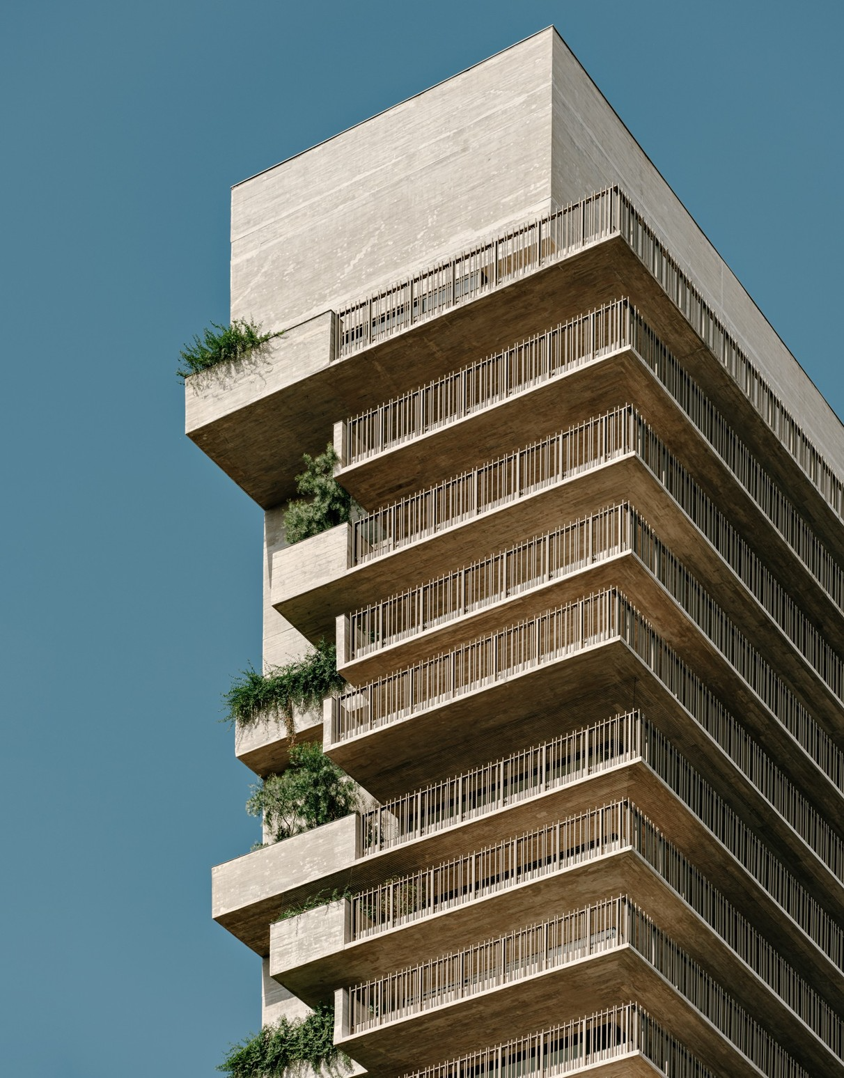 第四代住宅丨巴西圣保罗丨Arthur Casas Studio-18