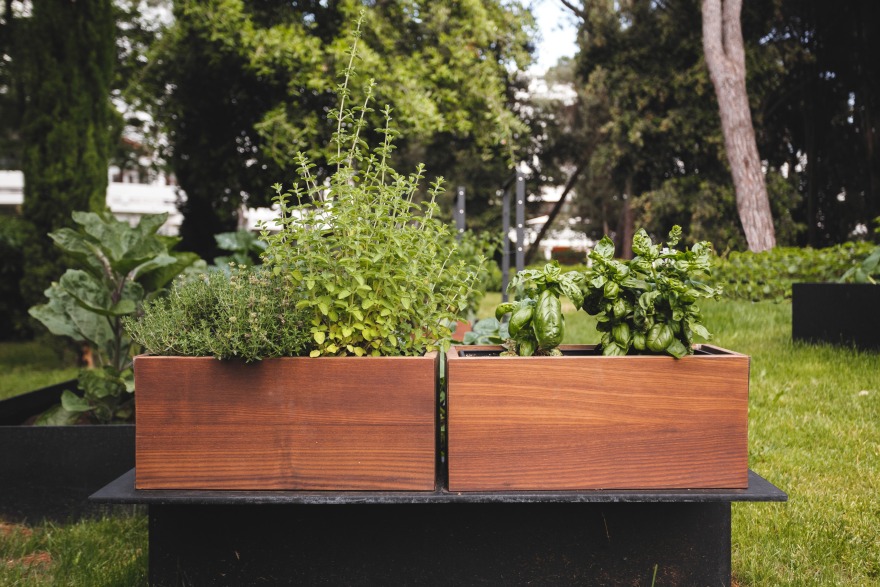 RevoLution Signature Restaurant 旋转厨房设计-49