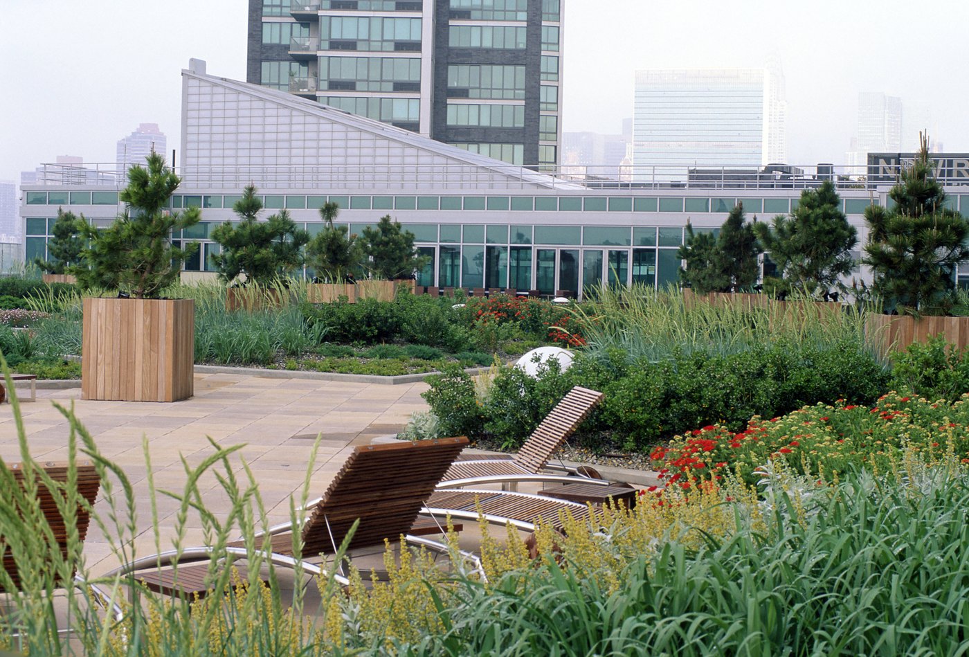 中心大道4705号，MNLA 

注：MNLA可能是特定地点的缩写或代码，由于没有更多背景信息，无法给出更准确的翻译，仅保留原样 丨美国纽约-19