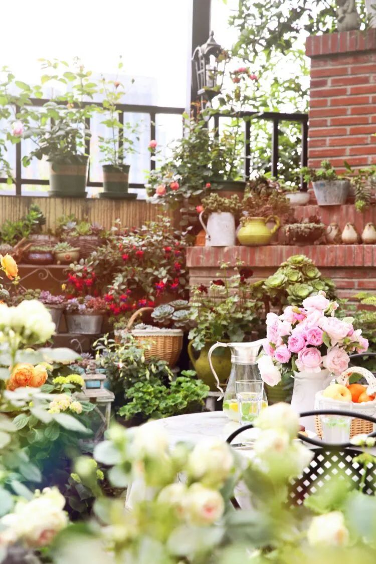 拥有一个这样的小院，人生足矣！-14