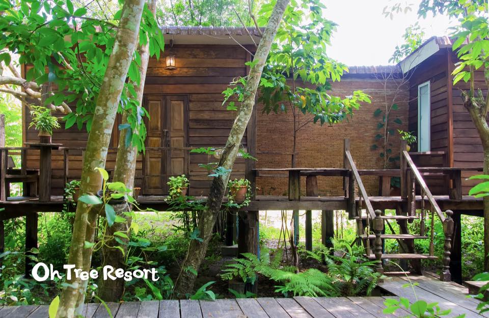 7 บ้านไม้ยกพื้นใต้ถุนสูง แบบไทยโบราณ บรรยากาศร่มรื่น - บ้านสไตล์-17