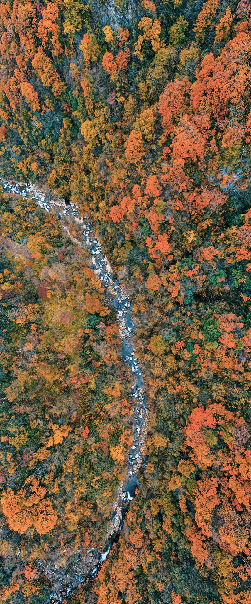 秦岭宿集 | 空山九帖书店·王维的寂寞，山果落餐厅的设计亮点-107