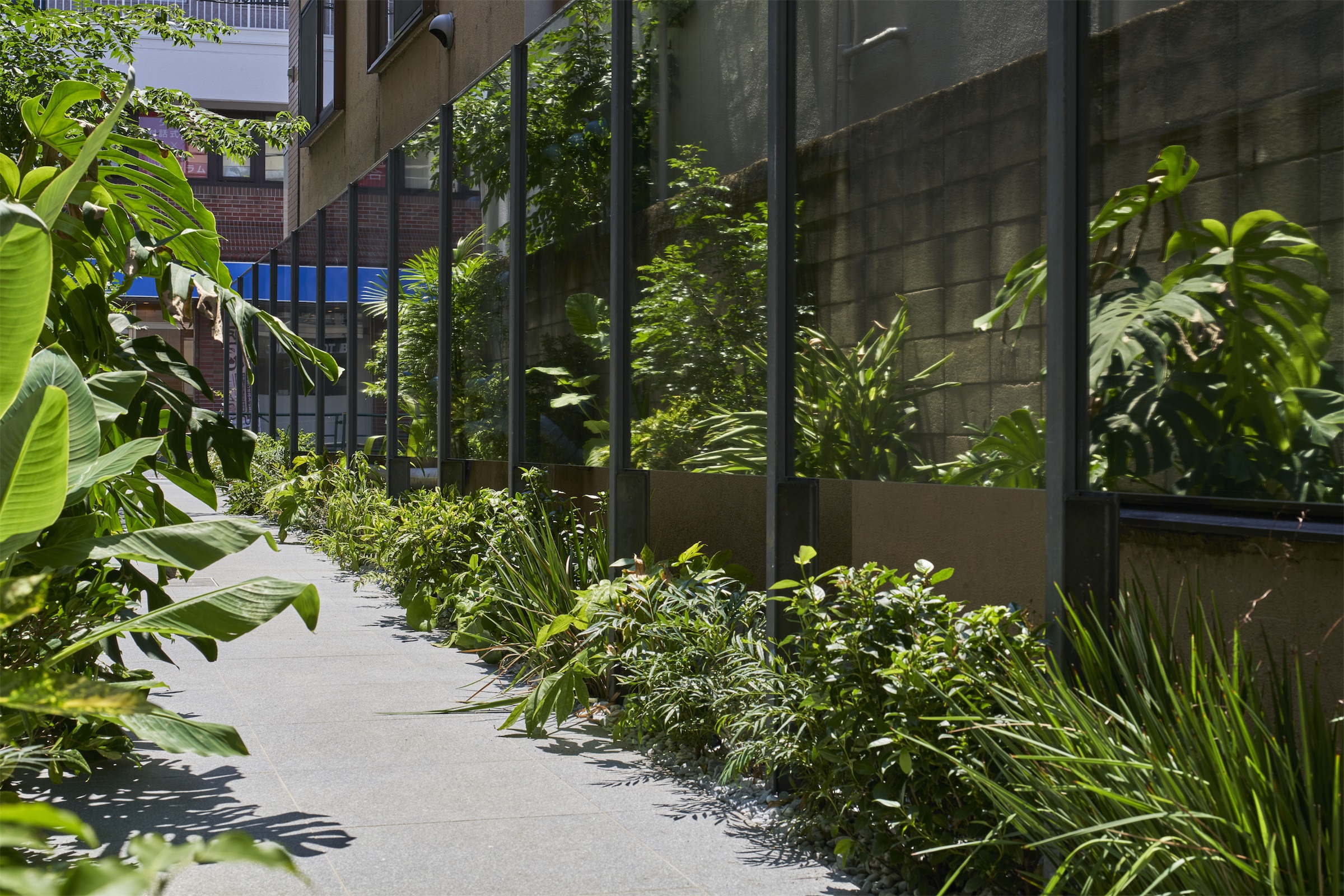 O·建筑丨日本东京丨Yohei Kawashima architects inc.-8