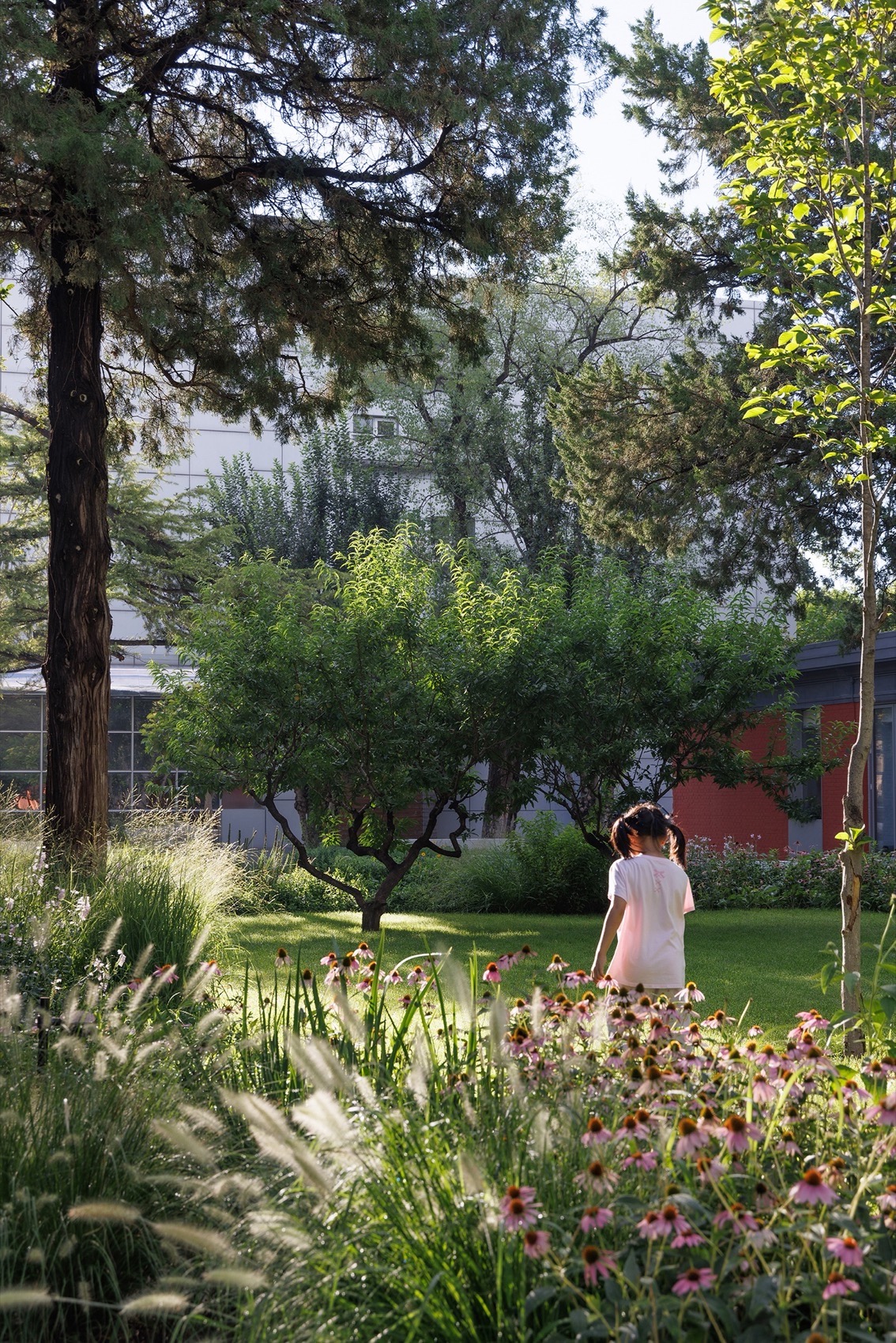 北京市三里屯西五街5号院花园丨中国北京丨OneScape一域景观事务所-250