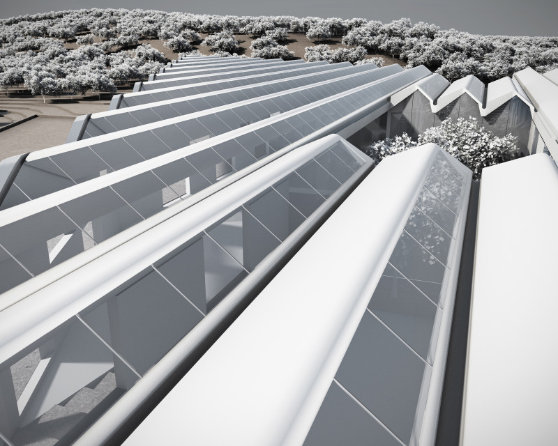 生物气候学派——伊斯顿·康姆斯-9