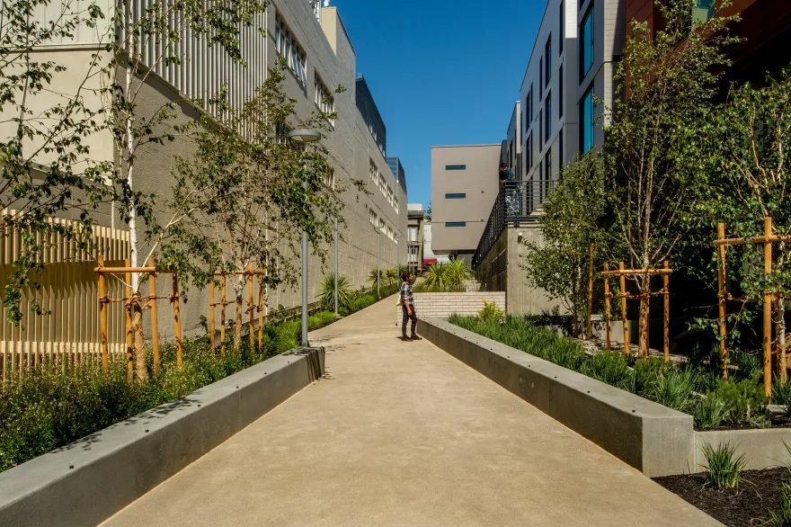 Mariposa Greenway(马里波萨绿道)丨美国丨Fletcher Studio(弗莱彻工作室)-26