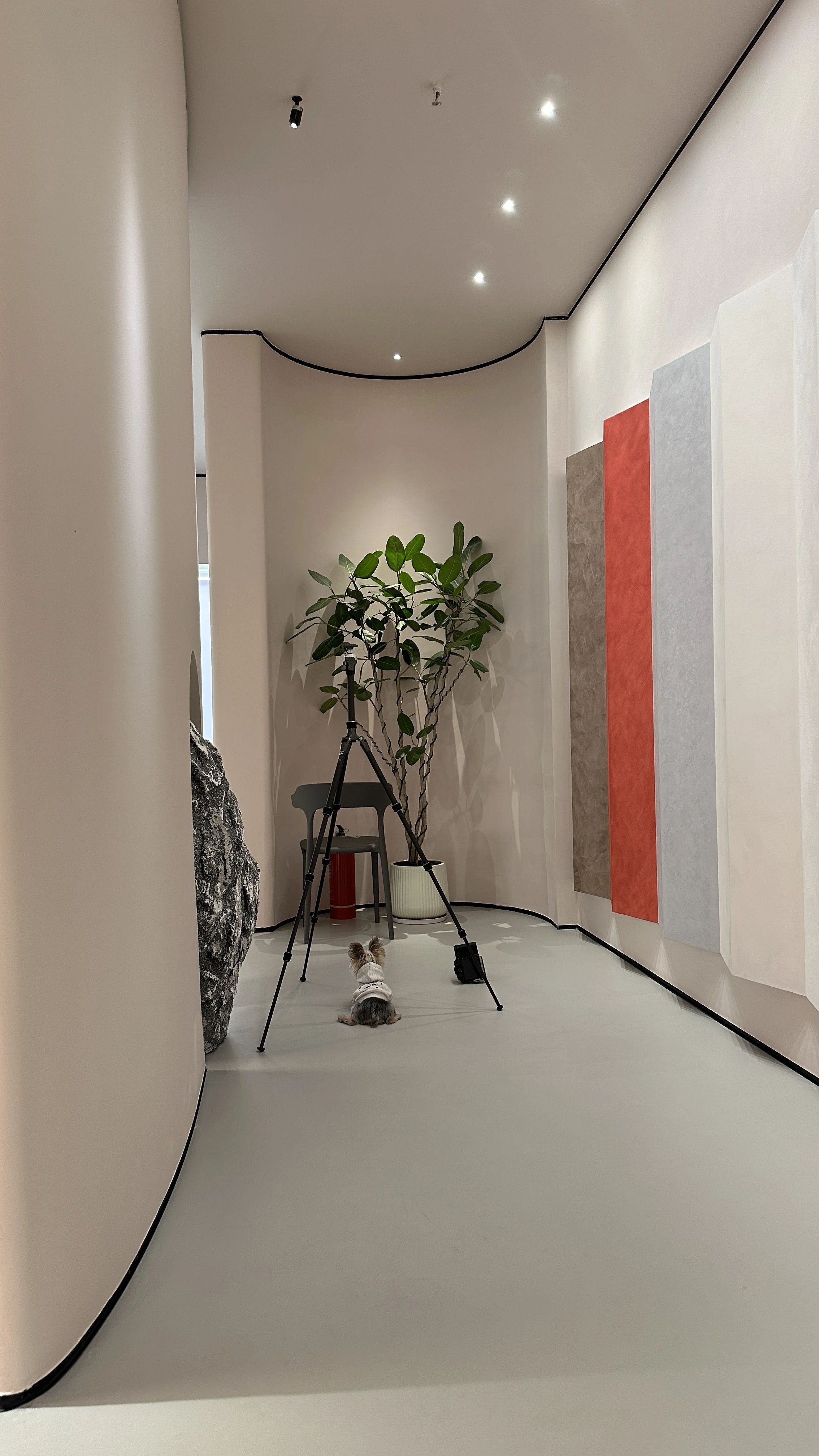 胡同儿“艳遇”,芬琳漆涂料展厅丨北京奈凡设计事务所-39