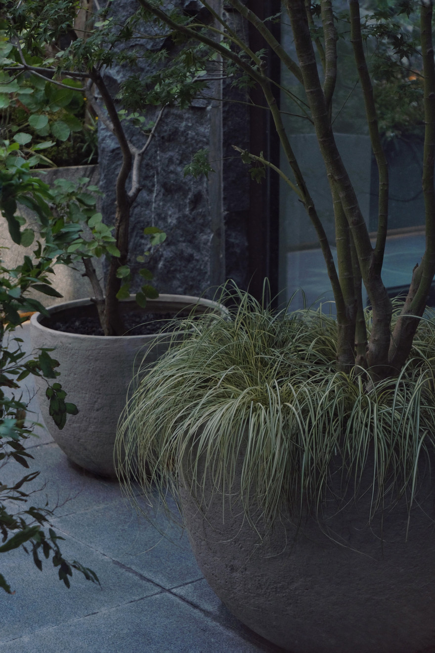 Urbanroots地下室花园丨中国北京丨Diff architecture studio-35