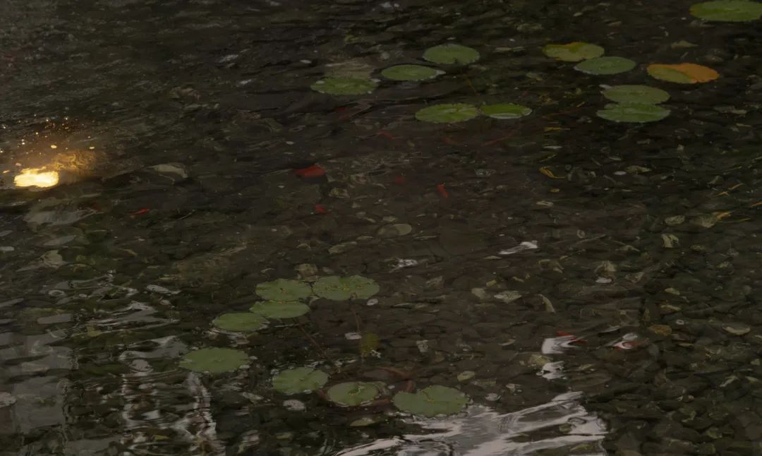 外呈中正之礼内显天然雅趣|未来中心C2·揽境-23