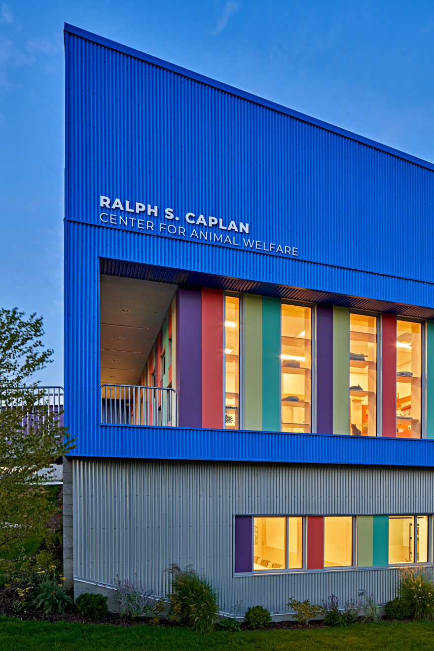 密歇根动物救援联盟丨美国丨PLY+-22