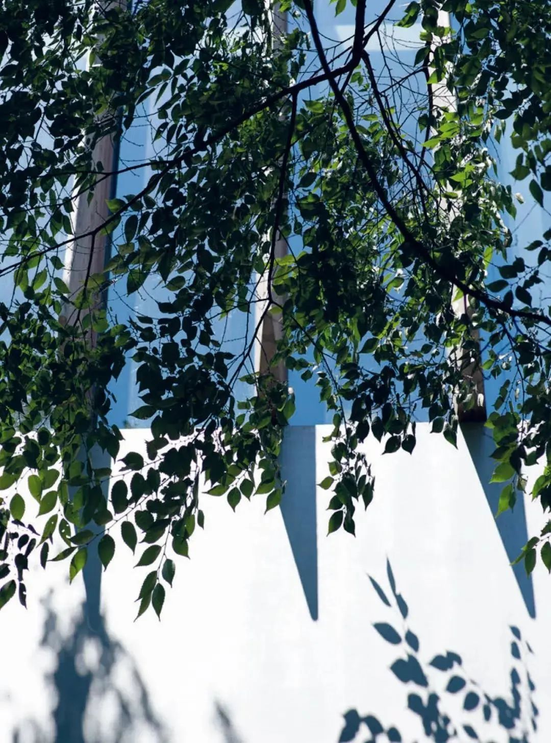 竹谧·隈研吾 | 自然与建筑的诗意共生-61