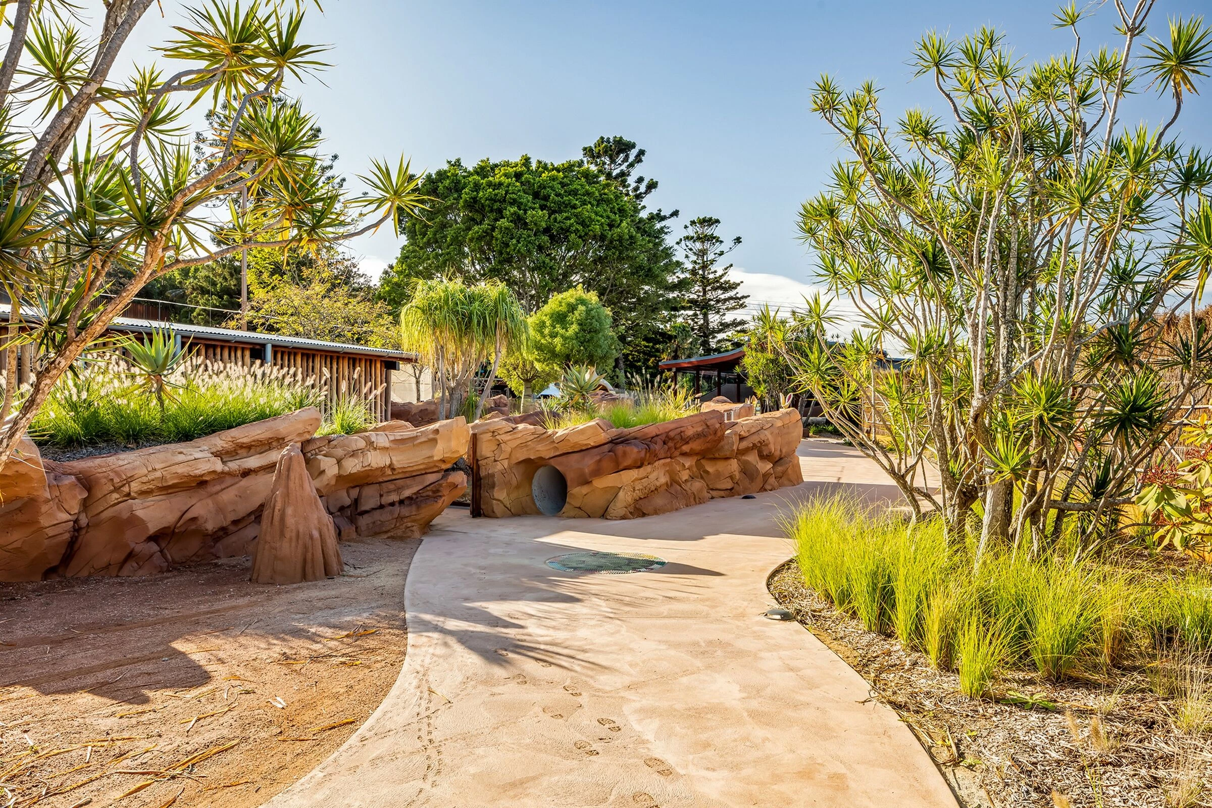 塔龙加动物园非洲热带稀树草原丨澳大利亚悉尼-17